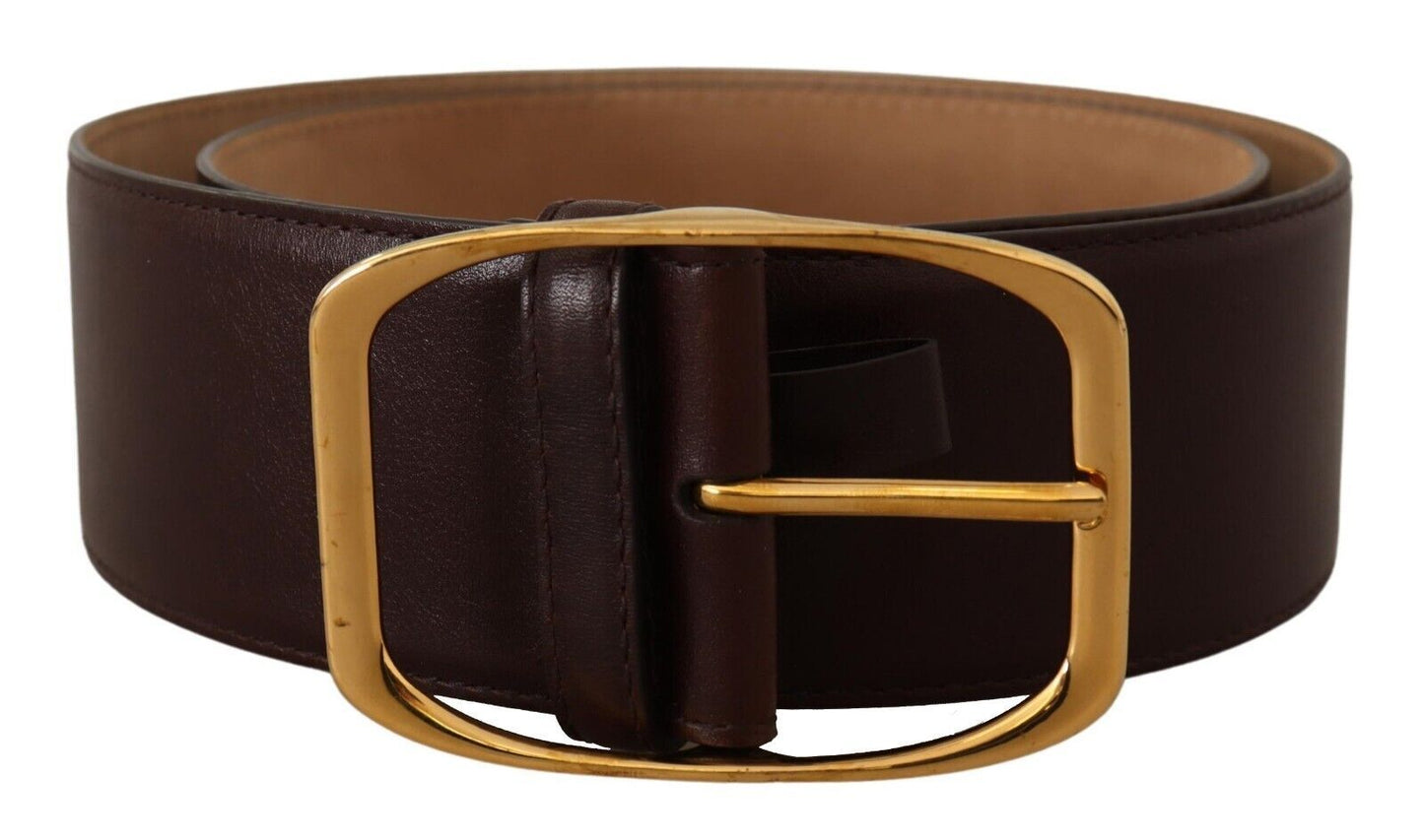 Dolce & Gabbana Dark Brown Leather Gold Metal Buckle Belt